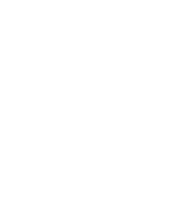 Escudo de New Alliance Fight School