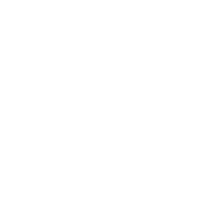 Escudo de New Alliance Fight School
