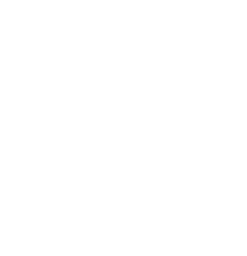 Escudo de New Alliance Fight School